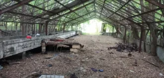 Теплично-парниковое хозяйство