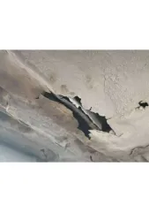 ВАЗ 2110, 1998 года выпуска, 89 л.с. Объем двигателя 1.5 л (1499 см³). VIN: XTA211000X0085829. Государственный регистрационный номер: Т187СТ36.