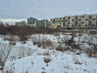 Земельный участок площадью 10 397 кв.м. КН 78:42:0018304:28501, адрес: СПб, посёлок Шушары, Колпинское шоссе, участок 164 (квартал V). Земельный участок площадью 9 036 кв.м. КН 78:42:0018304:28505, адрес: СПб, посёлок Шушары, Колпинское шоссе, участок 163 (квартал V).