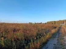 Лот № 22. Земельный участок площадью 1 008 +/  22 кв.м. кад. № 50:33:0020418:881, расположенный по адресу: Московская область, Ступинский район, Аксиньинское сельское поселение, вблизи д. Ламоново, участок находится в юго западной части кадастрового квартала 50:33:0020418