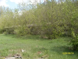 Коровник 623,9 кв.м, Республика Мордовия, назначение: нежилое, количество этажей – 1, в том числе подземных – 0, кадастровый номер 13:01:0306006:245, площадь 623,9 кв.м., год постройки – 1983, адрес (местоположение): Республика Мордовия, Ардатовский район, поселок Лесозавод, улица Лесная, д.6А…