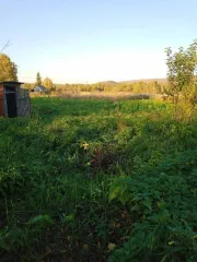 Земельный участок для ведения личного подсобного хозяйства площадью 5821 кв.м. Категория земель: земли населенных пунктов. Адрес (местонахождение): местоположение установлено относительно ориентира, расположенного в границах участка. Почтовый адрес ориентира: Республика Башкортостан, Архангельский…