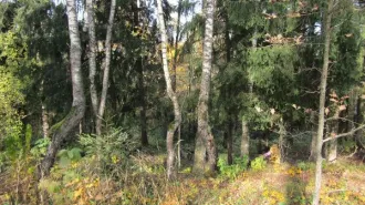 Земельный участок 1106 кв.м, Московская область, кадастровый номер 50:19:0020313:650, вид разрешённого использования 2.1.