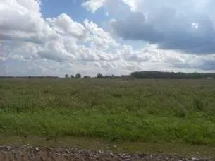 Право долгосрочной аренды земельного участка площадью 1 943 853 кв.м, кадастровый номер: 02:47:121101:10, адрес: Местоположение установлено относительно ориентира, расположенного в границах участка. Почтовый адрес ориентира: Республика Башкортостан, р-н. Уфимский, с/с. Николаевский. Имеются…