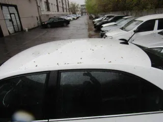 Škoda Rapid 2020, 125 л.с., 110474 км. Автомобиль - ŠKODA, RAPID; год выпуска - 2020; VIN - XW8AT6NH8MK100424.