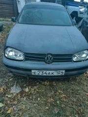 Годные остатки автомобиля Volkswagen Golf, Vin WVWZZZ1JZYD036523. 1999гв, цвет черный без г/н, данное имущество является вещественным доказательством по уголовному делу(подделка VIN) Документы на автомобиль отсутствуют, постановка на регистрационный учет затруднительна Автомобиль имеет вмятины, …