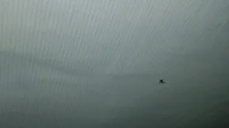 Omoda S5 2023 автомобиль «OMODA S5», VIN – LVVDC21B9RD035779, год изготовления 2023г.