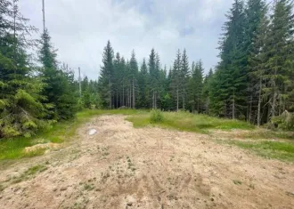 Жилой дом 90,6 кв.м и земельный участок 1500 кв.м в Карелии. Дом жилой, площадью 90,6 кв.м, одноэтажный, расположен по адресу: Респ. Карелия, Прионежский р-н, п. Деревянка, ул. Нагорная, д. 12 (кадастровый номер 10:20:0080120:181). Земельный участок площадью 1500 кв.м, категория земель: земли…