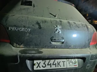 Пежо 307 2005 года выпуска, VIN VF33CNFUE83862930. Находится в залоге.