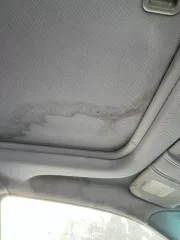 Subaru Forester, VIN JF1SG5LR54G031534