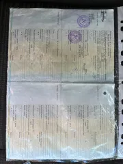 Opel Astra 2011 года выпуска, номер кузова и VIN: W0LPD6DC2BG137542, шасси отсутствует.