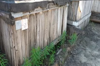 Движимое и недвижимое незалоговое имущество. По вопросу ознакомления с порядком проведения торгов, имуществом, формами документов обращаться: эл. адрес: dmityushev@yandex.ru, адрес для корреспонденции: 620000, г. Екатеринбург, а/я 196, 89630460053.