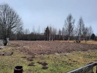 Земельный участок (кад. № 35:22:0310003:9), расположенный по адресу: РФ, Вологодская область, р-н Череповецкий, Домозеровский с/с, д. Якушево. Площадь 1800 кв.м. Категория земель: Земли населенных пунктов. Виды разрешенного использования: Для ведения личного подсобного хозяйства.