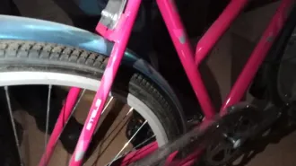 Велосипед Stels розового цвета, частично имеется не снятая защитная пленка, спереди корзина, колеса накачены, рабочее состояние не проверялось, реализация в качестве годных остатков (Уведомление №1324 К от 26.05.2025 г.).