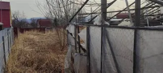 Земельный участок, кадастровый номер: 41:05:0101046:1137, адрес: Россия, Камчатский край, Елизовский район, ТСН Солнечное, улица Лесная, дом 6, площадь 620 +/- 17 кв.м. Категория земель: земли сельскохозяйственного назначения, вид разрешенного использования: садоводство.