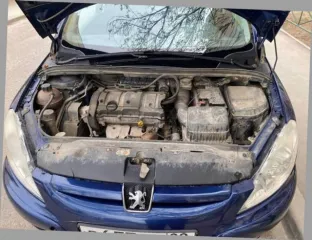 Peugeot 307 2004 года выпуска, синего цвета. VIN: VF33CNFUE83363754. Бензиновый двигатель мощностью 110 л.с. (80,88 кВт). Разрешенная максимальная масса 1729 кг, масса без нагрузки 1304 кг.