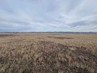 Право заключения договора купли-продажи земельного участка находящегося в муниципальной собственности- 03:08:300101:5210 - площадью – 46 312 кв.м.; - категория земель – земли населенных пунктов; - кадастровый номер земельного участка – 03:08:300101:5210; - местоположение: Российская Федерация…