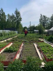 Земельный участок 764 кв.м., ХМАО-Югра. Категория земель: земли сельскохозяйственного назначения, разрешенное использование: под садоводство. Находится по адресу: Ханты-Мансийский автономный округ - Югра, р-н Нефтеюганский, урочище «Сингапайский остров», район КНС-7, СНТ «Энергетик», участок № 56…