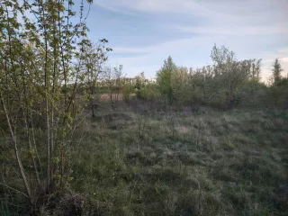 Земельный участок площадью 3300 кв.м., Россия, Курская область, Щигровский район, деревня 1-я Семеновка, улица Южная, дом 6, кадастровый номер 46:28:141209:78. Объект незавершенного строительства площадью 182.3 кв.м., назначение: жилое, кадастровый номер 46:28:141209:89. Запрещение регистрации №…