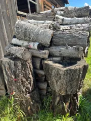 Дрова сосна, береза, лиственница 8.5 куб.м. Древесина пород сосна, береза, сосна и лиственница распилены на чурки. Количество и породный состав древесины: 8.504 куб.м.