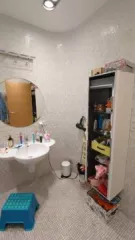 Жилое помещение (квартира) с кадастровым номером 77:06:0004004:3906, площадью 171,5 кв.м, 
Расположенное по адресу: г. Москва, ул. Новочерёмушкинская, д. 44, корп. 3, кв. 209