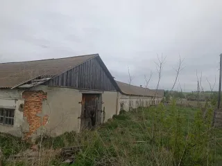 Движимое имущество, годные остатки, транспортные средства в общем количестве 77 наименований. Здание телятника № 3 (1988 г.п., движимое имущество, годные остатки); Здание телятника (1976 г.п., движимое имущество, годные остатки); Здание склада (1989 г.п., движимое имущество, годные остатки); Здание…