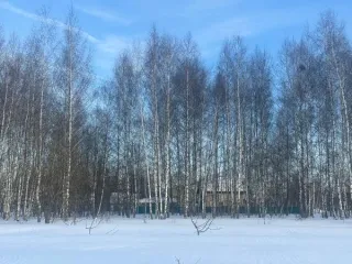 Земельный участок площадью 1127 кв.м, категория «земли населенных пунктов», вид разрешенного использования «Для индивидуального жилищного строительства» расположенного по адресу: Московская область, городской округ Кашира, г. Кашира, микрорайон Ожерелье. Основной вид разрешенного использования…