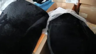 Автомобильные чехлы из искусственной кожи в упаковках с маркировкой "ТМ BRABUS" - 25 шт. (комплектов). №ф-10/23/31 и-78 (78-006164-1) прямое назначение. Имущество продается в том виде, в каком оно есть, и в случае продажи возврату/обмену не подлежит. За скрытые дефекты имущества Продавец…