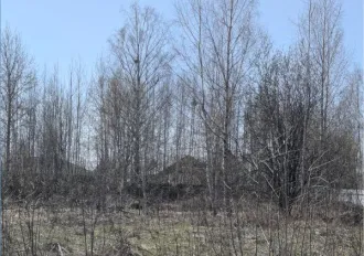 Право аренды земельного участка 490 кв. м, Пермский край, г. Пермь, ул. Ленина (Голованово), уч. 5в. Право заключения договора аренды земельного участка, находящегося в муниципальной собственности, с кадастровым номером 59:01:3610019:163 площадью 490 кв. м, расположенного по адресу: Российская…