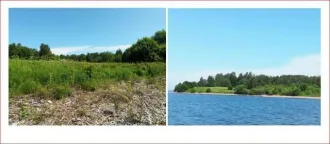 Земельный участок 1.9 га в Вологодской области, кадастровый номер: 35:01:0301004:213. Назначение: для сельскохозяйственного использования, общая площадь 19000+/-381 кв.м. Местоположение установлено относительно ориентира — здание новой часовни. Участок находится примерно в 1350 м по направлению на…