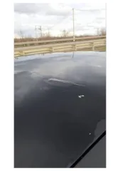 Ford Focus 2011 года, 104 л.с., пробег 300 000 км, автоматическая коробка передач. VIN: X9FKXXEEBKBT10138. Государственный номер Р800УЕ193.