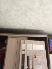 1/4 доли дома и участка в Азове, площадь 31.6 кв.м., Ростовская область, кад. номер 61:45:0000350:9539, местоположение: Ростовская область, г. Азов, пер. 14-ый Линейный, д. 209, вид разрешенного использования объекта недвижимости: жилое, и ¼ доля земельного участка, кад. номер 61:45:0000350:3907…