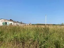 Нежилые здания: 
Коровник - 1 098,1 кв. м, кадастровый номер 67:03:1620101:512,
Сенной склад - 1 083 кв. м, кадастровый номер 67:03:1620101:391, 
Силосная траншея - 1 014,9 кв. м, кадастровый номер 67:03:1620101:514, 
Телятник - 628,9 кв. м, кадастровый номер 67:03:1620101:526,
Склад - 410,7…