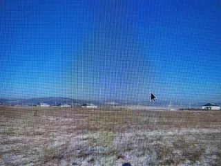 Земельный участок 1500 кв.м Забайкальский край 1/4 доли в праве собственности на земельный участок (земли населенных пунктов: для индивидуального жилищного строительства) площадь1500 кв.м., кадастровый номер 75:32:040338:105, адрес: Забайкальский край, г. Чита, район п. Застепь, участок № 4. На…