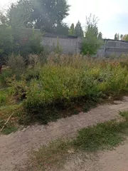 Земельный участок, кадастровый номер: 64:41:410819:48, категория земель: земли поселений, разрешенное использование: для размещения гаража (индивидуальное гаражное строительство), общая площадь 24 кв.м., по адресу: Саратовская область, г. Балашов, ул. Юбилейная, в 35,0 м. северо-западнее…