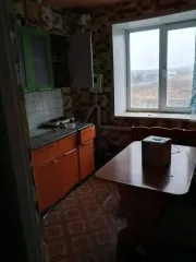 1/4 доля квартиры 36,7 кв.м и 1/4 доля жилого помещения, площадь: 36,7кв.м., адрес (местонахождение): Российская Федерация, Оренбургская область, м.о. Кувандыкский, с Новосамарск, ул Советская, д. 23, кв. 11, кадастровый номер: 56:15:0402001:486