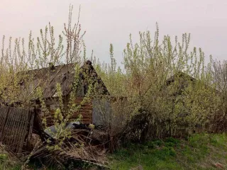 1/2 доля жилого дома, 41,1 кв.м, Оренбургская область, Российская Федерация, м.р-н Северный, с.п. Рычковский сельсовет, с Рычково, ул Нижнеаульная, двлд. 3, кадастровый номер 56:28:1201002:196.