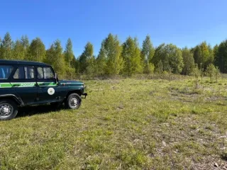 Земельный участок площадью 1891389 кв.м., кад. № 12:03:0202001:73, расположенный по адресу: РМЭ, Килемарский район, в восточной части кад.квартала №12:03:0202001 Вид разрешённого использования земельного участка: 1.0