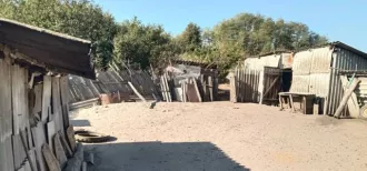 1/7 доли в общей долевой собственности на индивидуальный жилой дом с хозяйственными строениями, общей площадью 51.8 кв.м., с кадастровым номером 46:19:070101:601, расположенный по адресу: Россия, Курская обл., Пристенский р-н, с. Красниково, ул. Песчаная, д. 2.