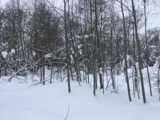 Земельный участок 1237 кв.м для индивидуального жилищного строительства, расположенный в деревне Леоново Сергиево-Посадского городского округа Московской области. Кадастровый квартал: 50:05:0120218. Категория земель: земли населенных пунктов. Вид разрешенного использования: для индивидуального…