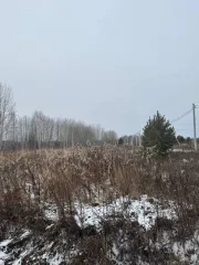 Земельный участок площадью 1306 кв.м в Тюменской области, Нижнетавдинский район, СНТ "Райские сады", улица Южная, участок №31. Кадастровый номер: 72:12:0804001:1780. Имущество находится в залоге у ПАО Сбербанк.