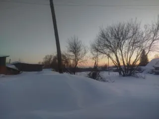 Земельный участок площадью 1498 кв.м по адресу: Алтайский край, Первомайский район, с. Первомайское, ул. Пролетарская, 37. Кадастровый номер: 22:33:020502:25. Вид разрешённого использования: 2.2. Регистрационный номер ЕГРОКН: