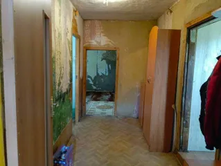 1/2 доля в жилом доме, площадь 65,3 кв.м., назначение: Жилое, адрес: Россия, Белгородская обл., Борисовский р-н, с. Березовка, ул. Советская, дом 44, кадастровый номер: 31:14:1101005:248. 1/2 доля земельного участка, площадь 4303 кв.м., назначение: Земли населенных пунктов, адрес: Россия…