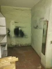 Нежилое помещение общей площадью 516.1 кв.м, кадастровый номер 73:24:030202:2133, расположенное по адресу: Ульяновская область, г. Ульяновск, Засвияжский район, ул. Артема, д. 28, помещения подвала № 1-7, 9, 12-16, 20, 24-36. Есть возможность приобретения имущества за счет кредитных средств банка…