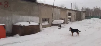 Здание 369 кв.м в Челябинской области. 1/3 доля здания. Еще 1/3 доля здания. Еще 1/3 доли в праве общей долевой собственности в объекте незавершенного строительства с кадастровым номером 74:31:0301001:245, расположенном по адресу: Челябинская область, р.п. Первомайский, ул. Известковая, д. 3…