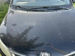 Kia Rio, 2013 года, 123 лс, 433345 км, АКПП, Легковой автомобиль, марка: Kia Rio, VIN: Z94CC51BBDR018800, рег. номер: Е616ВВ116.