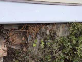 Грузовой автомобиль Scania 2015 года выпуска.