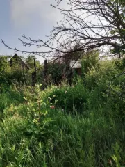 Земельный участок 446 кв.м Челябинская область, площадь 446 кв.м, адрес Российская Федерация, Челябинская область, городской округ Копейский, город Копейск, территория СНТ Кировец, земельный участок 1187, категория земель Земли населенных пунктов, разрешенное использование Для садоводства…