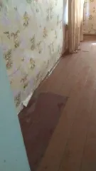 Нежилое помещение 25,1 кв. м. Адрес: Томская область, Колпашевский район, г. Колпашево, ул. М.Горького, д. 21/2, помещение 1. Этаж 1. Кадастровый номер 70:19:0000001:5365. Назначение: нежилое. Год ввода в эксплуатацию: 1960. Кадастровая стоимость: 222878.46. Обременения и ограничения отсутствуют…