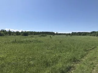 Земельный участок - 29 973 +/- 61 кв. м, кадастровый номер 59:20:3390101:1722, земли сельскохозяйственного назначения - для садоводства, земельный участок фактически представляет собой автомобильную облегченную дорогу с переходным типом дорожного покрытия
Адрес: местоположение установлено…